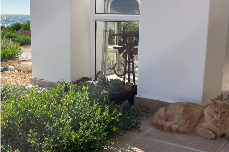 5 Bedroom Property for Sale in Shelley Point Western Cape
